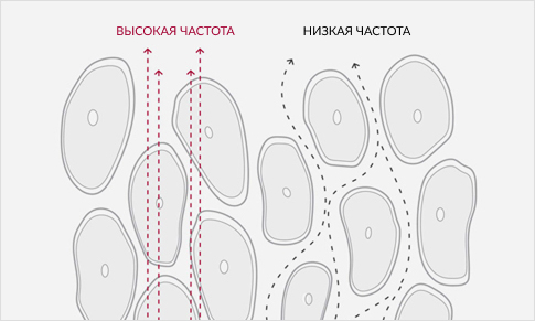 Многочастотные измерения для высокой точности